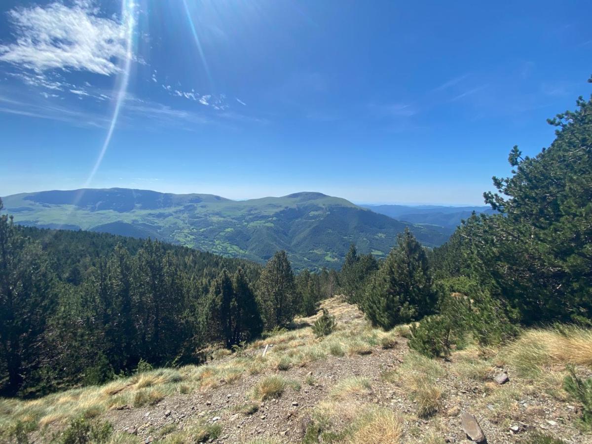 Precioso Apartamento Con Vistas Montana O Rio Ribes De Freser Exteriör bild