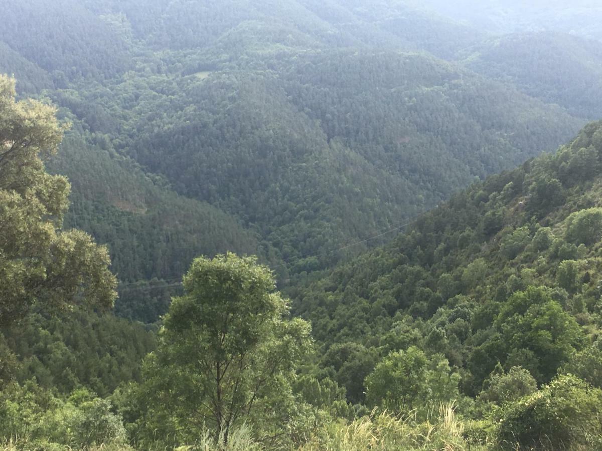 Precioso Apartamento Con Vistas Montana O Rio Ribes De Freser Exteriör bild